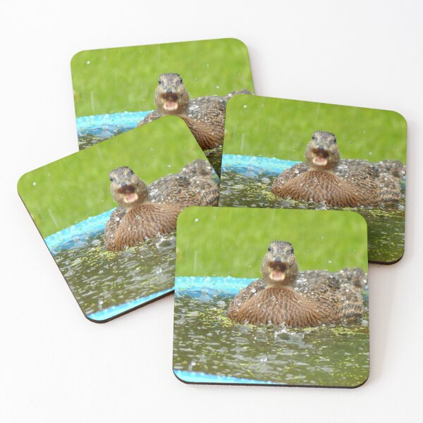 Item preview, Catching Hail Stones - Rescued Duckling - NZ designed and sold by AndreaEL.