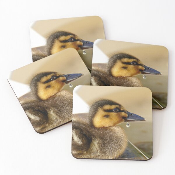 Item preview, Just A Little Dribble - Rescued Duckling - NZ designed and sold by AndreaEL.