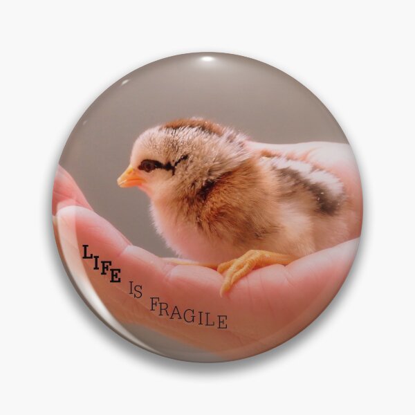 Item preview, Life Is Fragile - Day Old Chick - NZ designed and sold by AndreaEL.