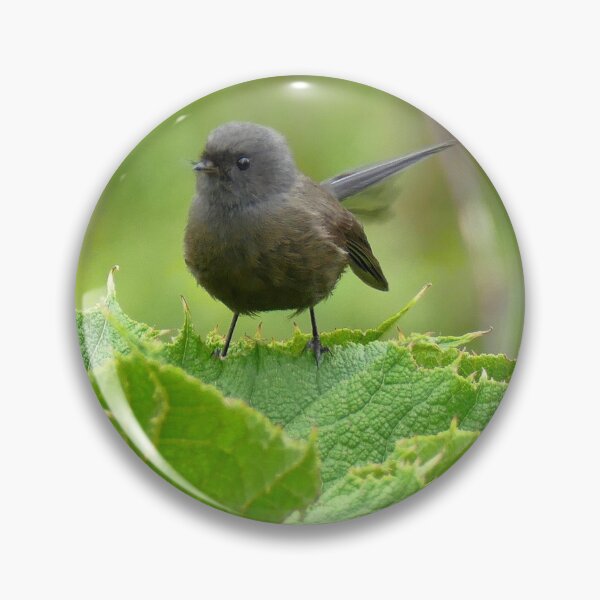 Item preview, Black Morph Fantail - NZ designed and sold by AndreaEL.