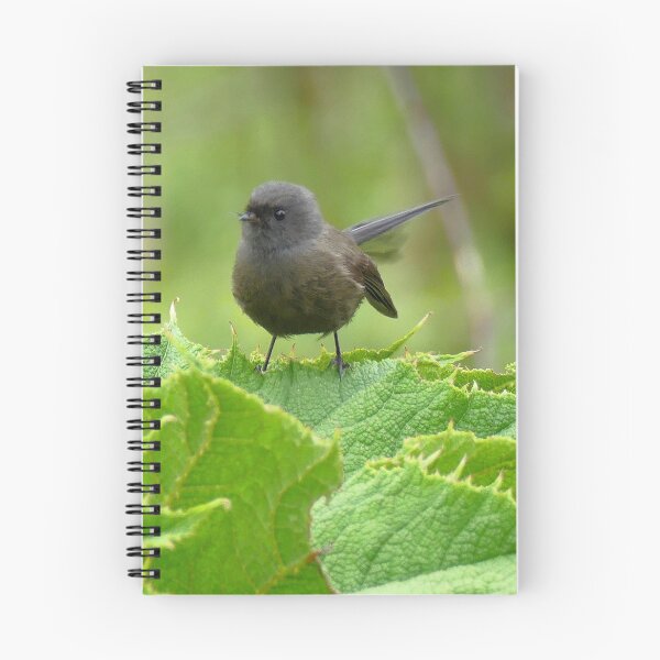 Item preview, Black Morph Fantail - NZ designed and sold by AndreaEL.