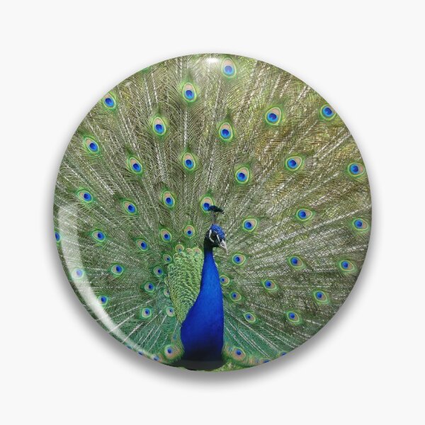 Item preview, Who Can Resist Me? - Peacock - NZ designed and sold by AndreaEL.