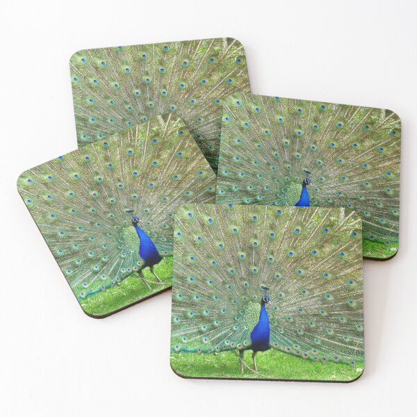 Item preview, Who Can Resist Me? - Peacock - NZ designed and sold by AndreaEL.