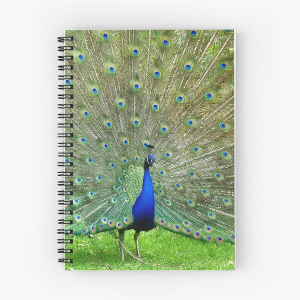 Item preview, Who Can Resist Me? - Peacock - NZ designed and sold by AndreaEL.
