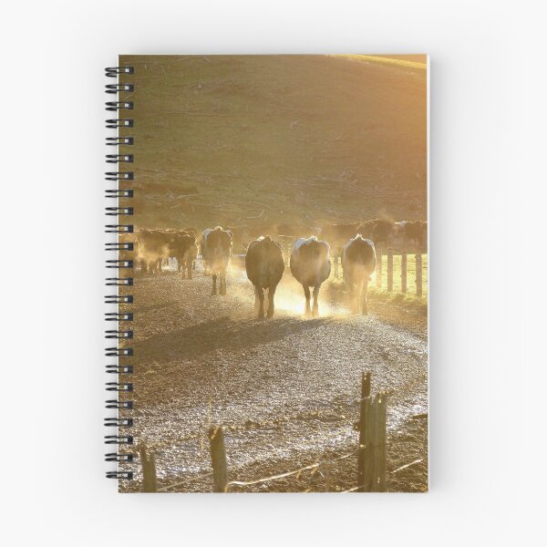 Item preview, Early Milkers - Dairy NZ designed and sold by AndreaEL.