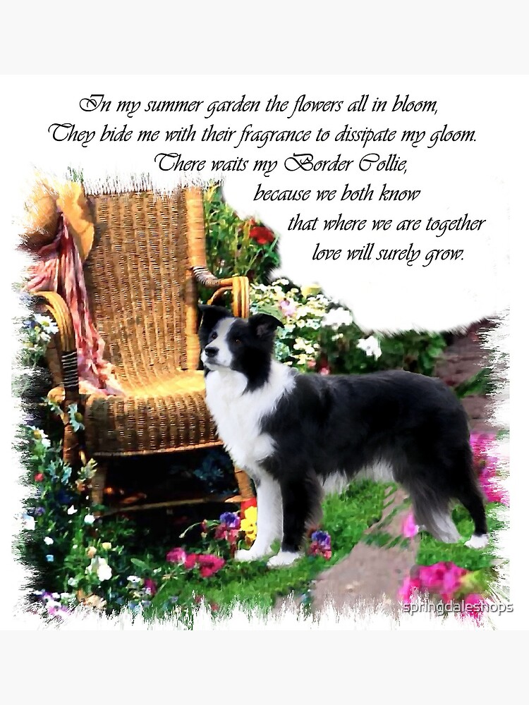 Gifts for clearance border collie lovers