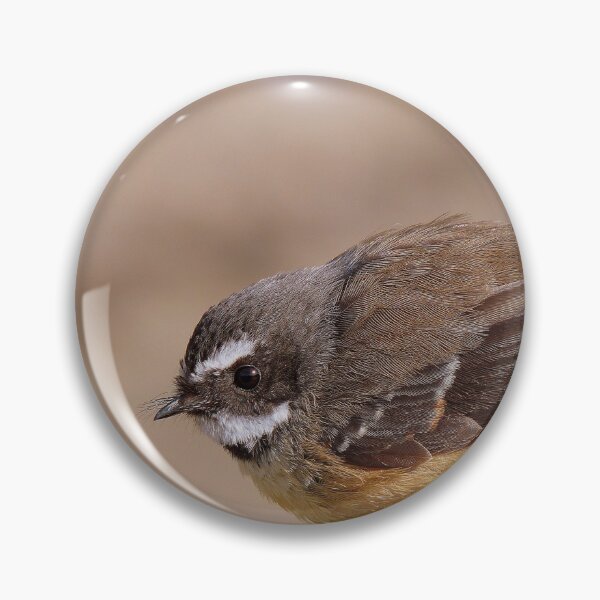 Item preview, Any Bugs In Your Shed? - Fantail NZ designed and sold by AndreaEL.