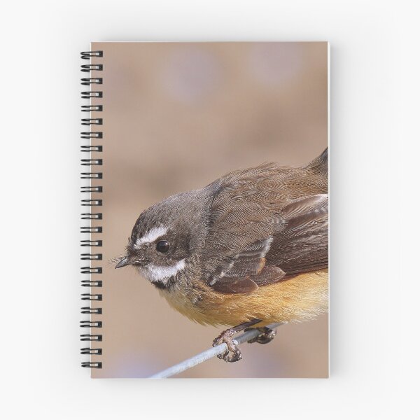 Item preview, Any Bugs In Your Shed? - Fantail NZ designed and sold by AndreaEL.