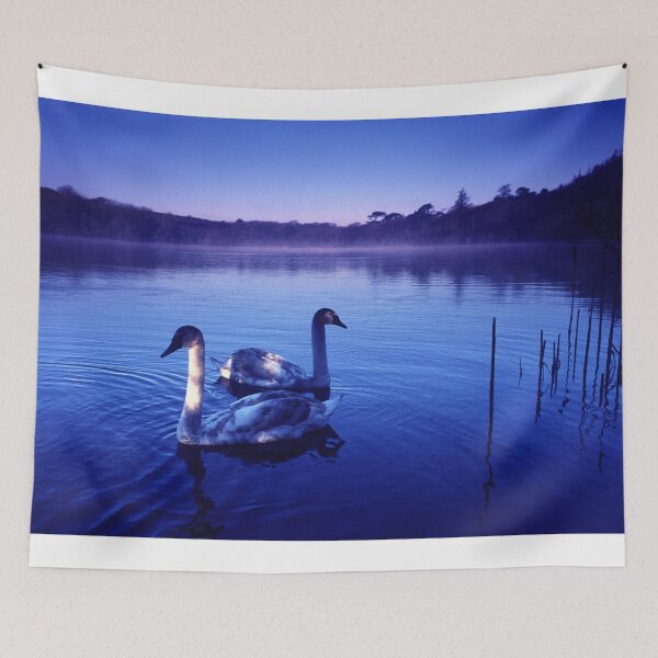 Item preview, Cygnets on the lake designed and sold by AntonyMitchell.