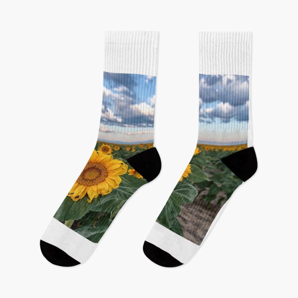 Item preview, Early Morning Sunflowers designed and sold by mikewheels.