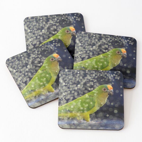Item preview, This Photo Shoot Is Fun - Peach-Fronted Conure - NZ designed and sold by AndreaEL.