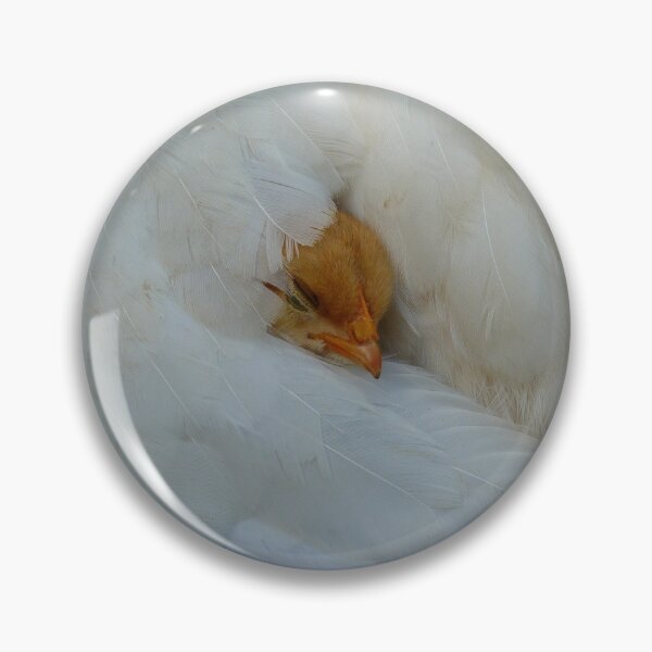 Artikelvorschau, Soft And Comfy - Chick entworfen und verkauft von AndreaEL.