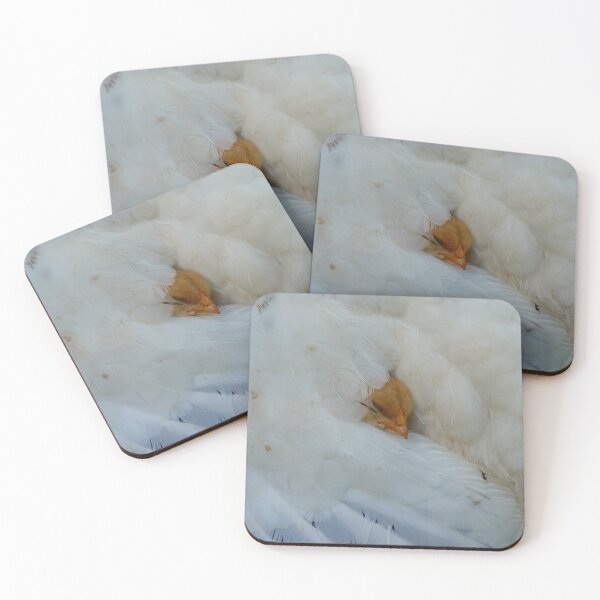 Item preview, Soft And Comfy - Chick designed and sold by AndreaEL.
