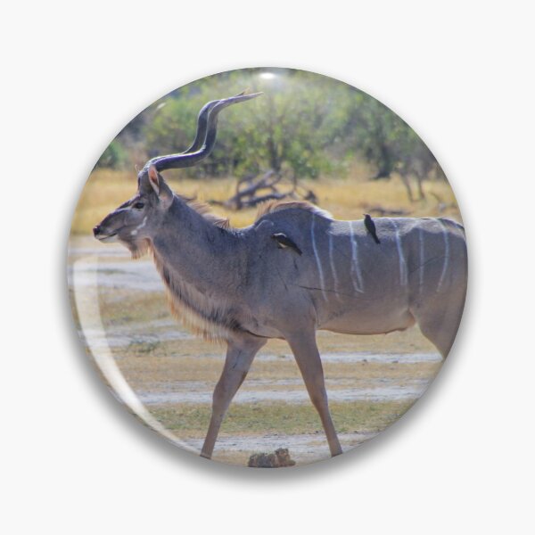 Item preview, Male Kudu Antelope with Oxpecker Birds designed and sold by SafariByMarisa.