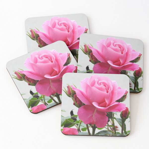 Item preview, Pink Rose designed and sold by IoanaHraball.