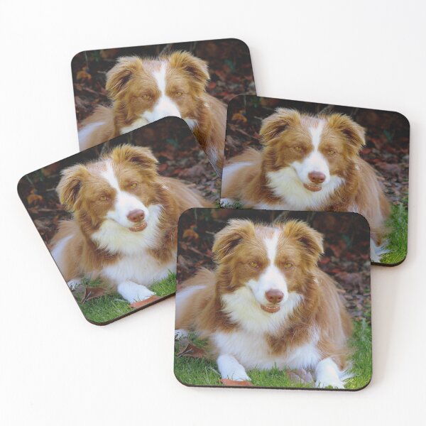 Item preview, Sit Next To Me - Border Collie designed and sold by AndreaEL.