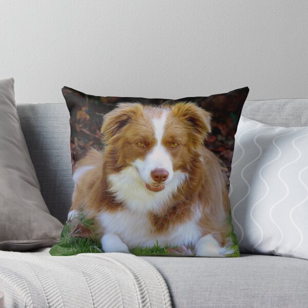 Sit Next To Me - Border Collie Throw Pillow