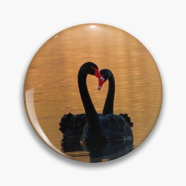 Artikelvorschau, Swan Lake - Throw Cushion entworfen und verkauft von AndreaEL.