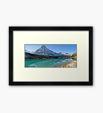 Jasper Framed Print