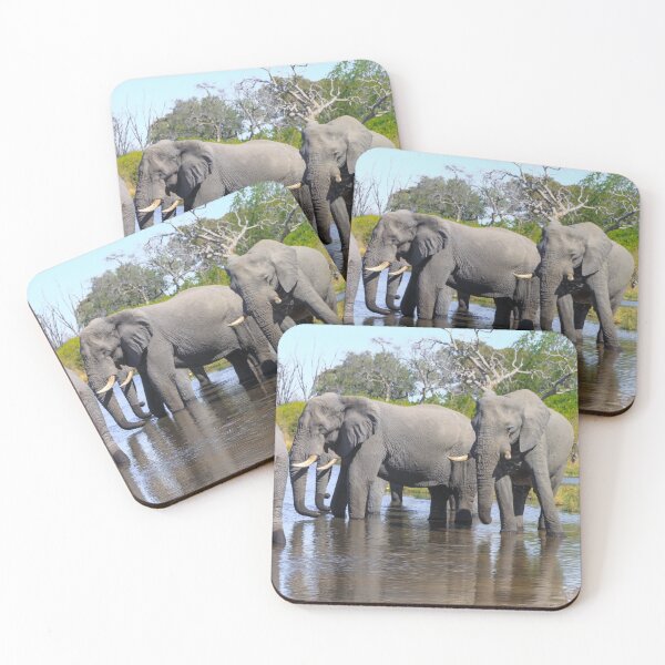 Item preview, Three Elephants Wading in Botswana designed and sold by SafariByMarisa.