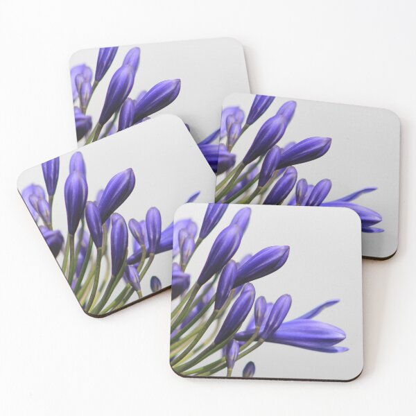 Item preview, Agapanthus flower designed and sold by James Kitto.