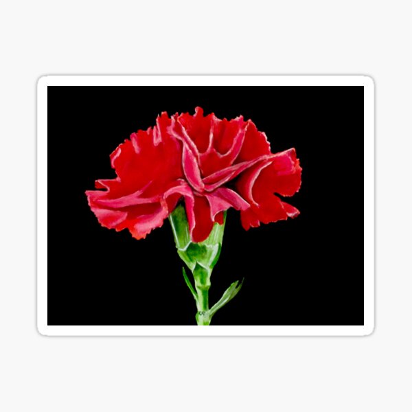 Item preview, Carnation designed and sold by PaintedbyCarol.
