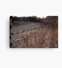 Barbed Wire Canvas Print