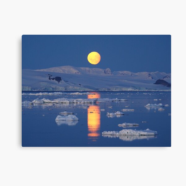 Antarctic Moonrise Canvas Print