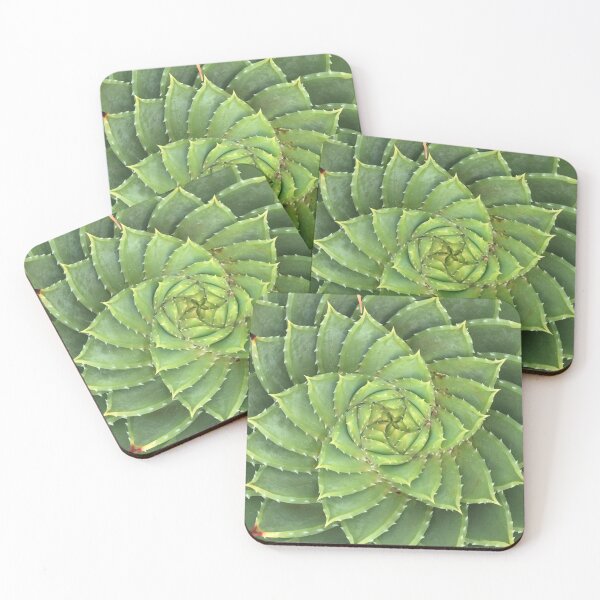 Item preview, Succulent designed and sold by James Kitto.