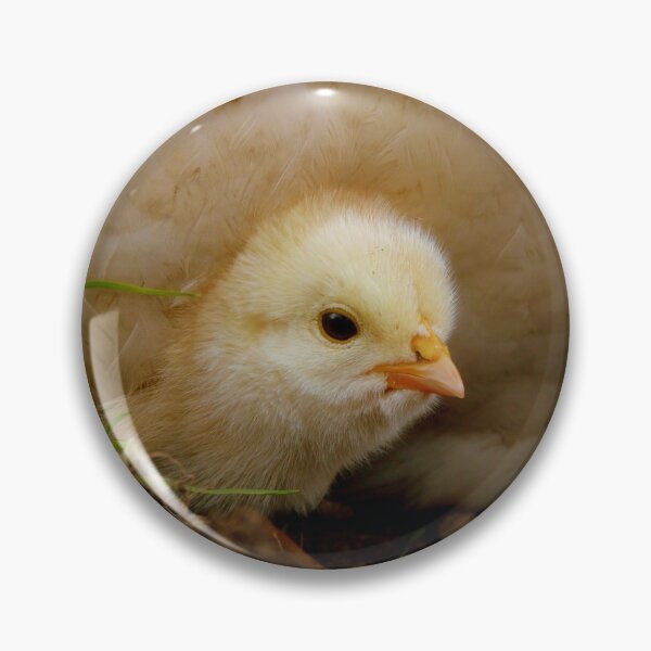 Item preview, Peek-A-Boo - Happy Easter - Chick NZ designed and sold by AndreaEL.