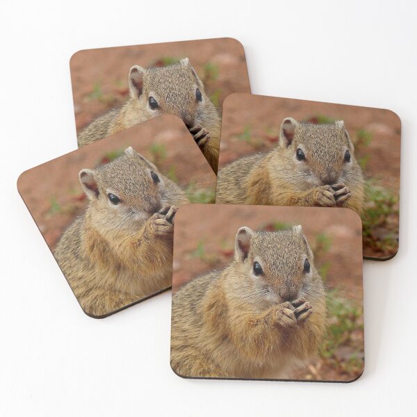 Item preview, Say Your Prayers Before Breakfast - Ground Squirrel - SA designed and sold by AndreaEL.