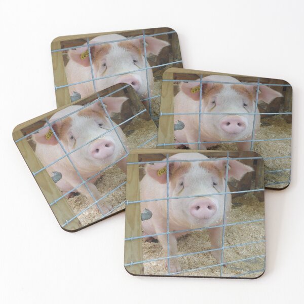 Item preview, piggy designed and sold by Zarabeaver.