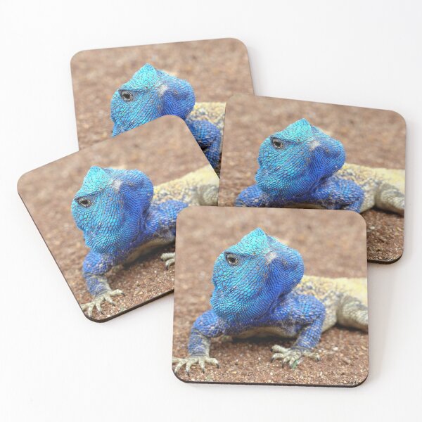Item preview, I'm Having A Blue Blue Day... Blue-Head Agama Lizard - Kurger Park SA designed and sold by AndreaEL.
