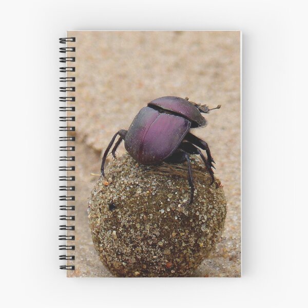 Item preview, Milky Way Navigation - Dung Beetle - SA designed and sold by AndreaEL.