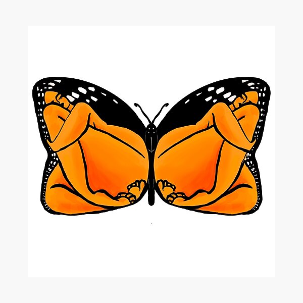 Monarch, Butterfly Design with Women Photographic Print