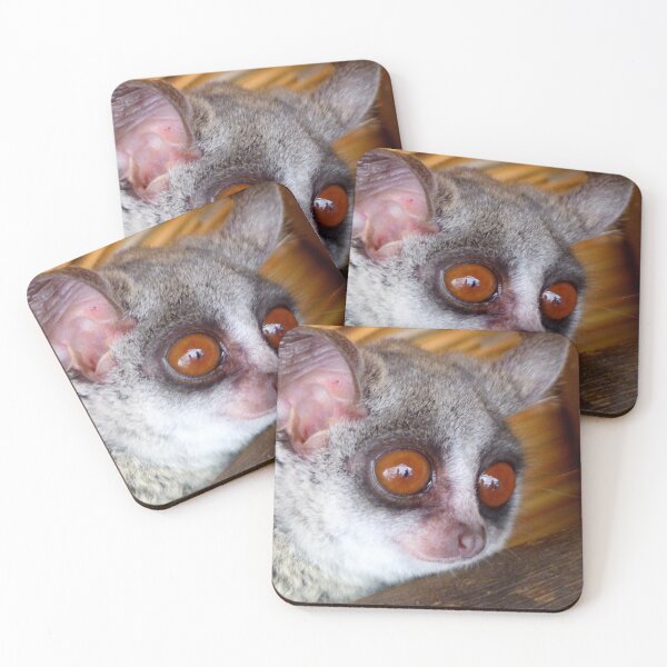 Item preview, Hush Little Baby Don't Say A Word...Bushbaby - Galagos - South Africa designed and sold by AndreaEL.