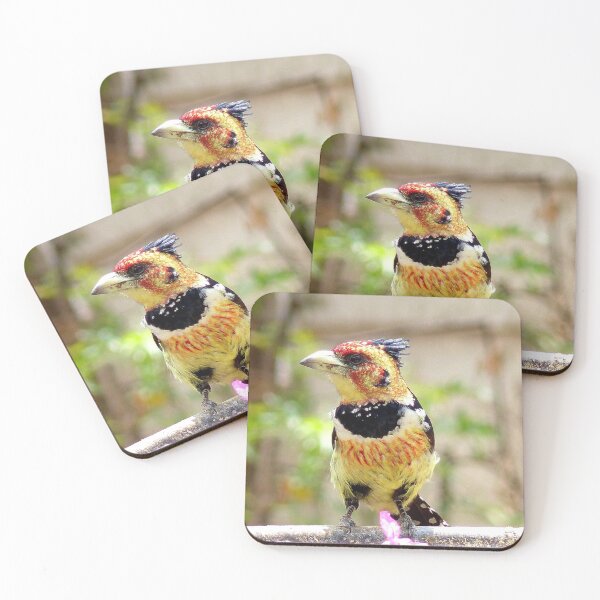 Item preview, I'm Unmistakeable - Crested Barbet - South Africa designed and sold by AndreaEL.