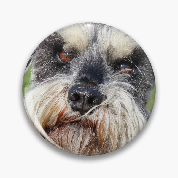 Item preview, Was That A Real Question? - Schnauzer - NZ designed and sold by AndreaEL.