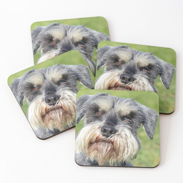 Item preview, Was That A Real Question? - Schnauzer - NZ designed and sold by AndreaEL.