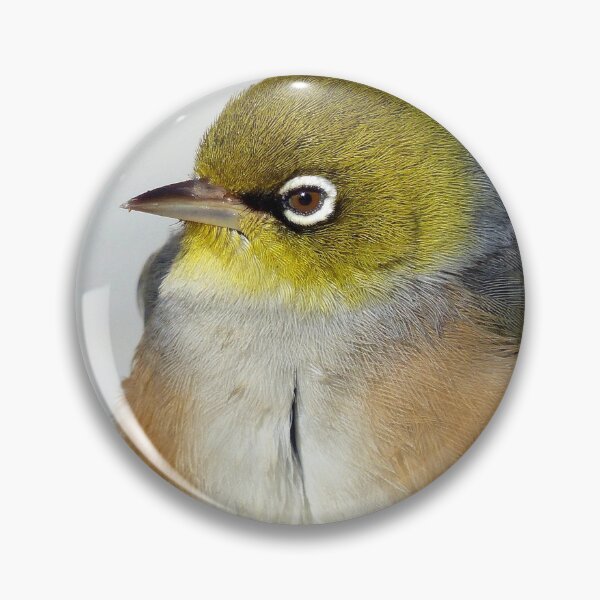 Item preview, Ahh...Don't You Just Love The Sun? - Silver-Eye - NZ designed and sold by AndreaEL.