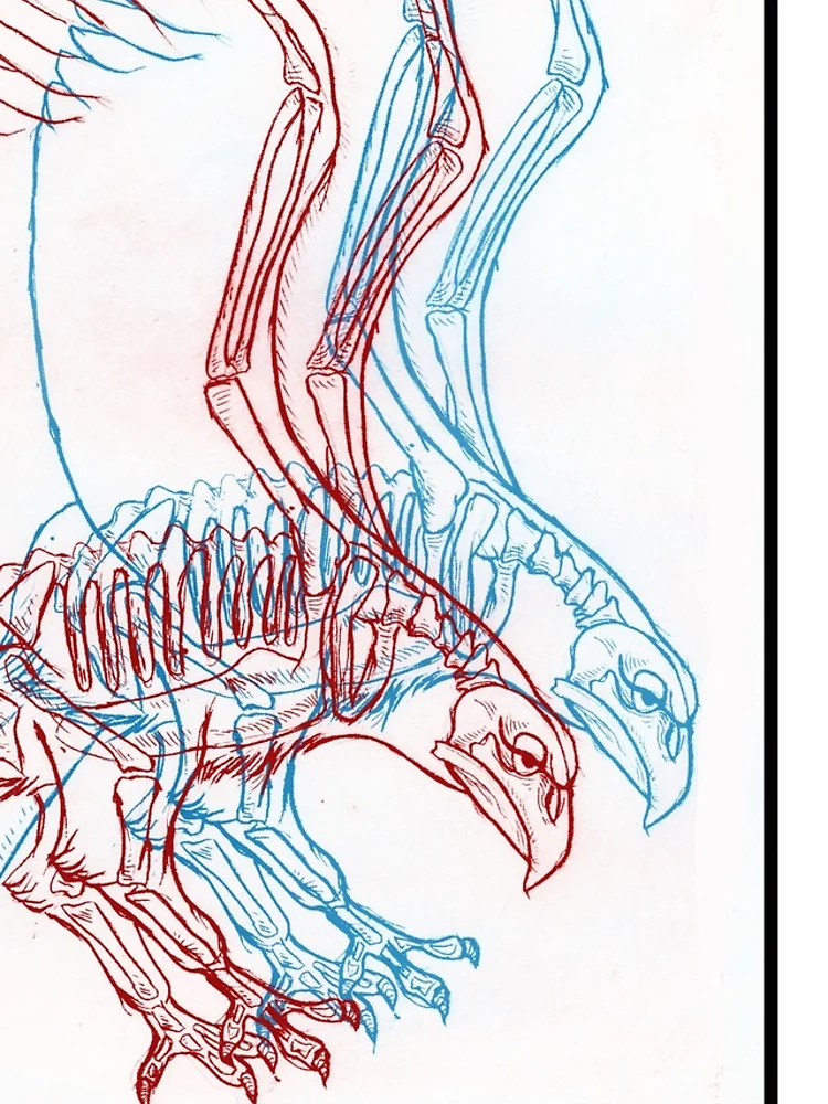 Thumbnail 5 of 5, iPhone Case, 3D Hawk designed and sold by Amphitheorem.