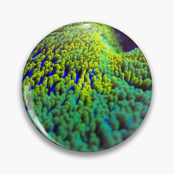 Artikelvorschau, Giftige grüne und gelbe Teppich-Anemone entworfen und verkauft von buzzmarshall.