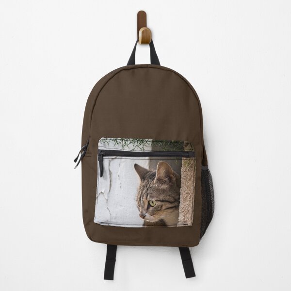 Item preview, Female Kitty Looking Out Of a Hole In The Wall designed and sold by Vienewi.
