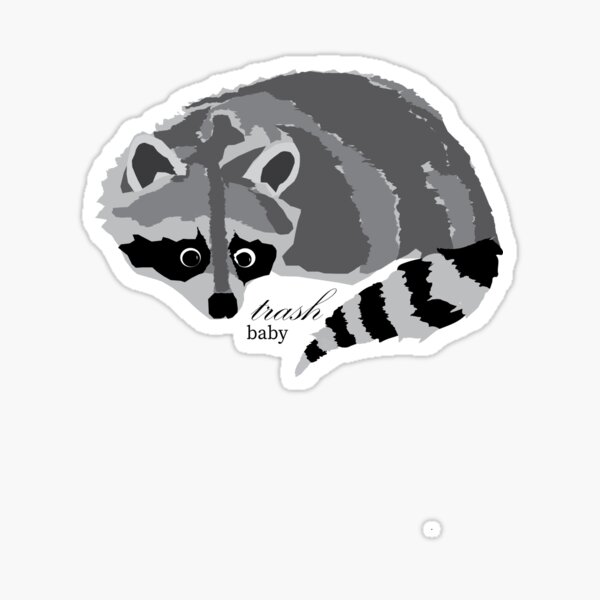 4 In 1 Cute Playful Baby Raccoon Stickers For Wall, Fridge, Toilet And  More, Retail Packaged Black Labrador Decals