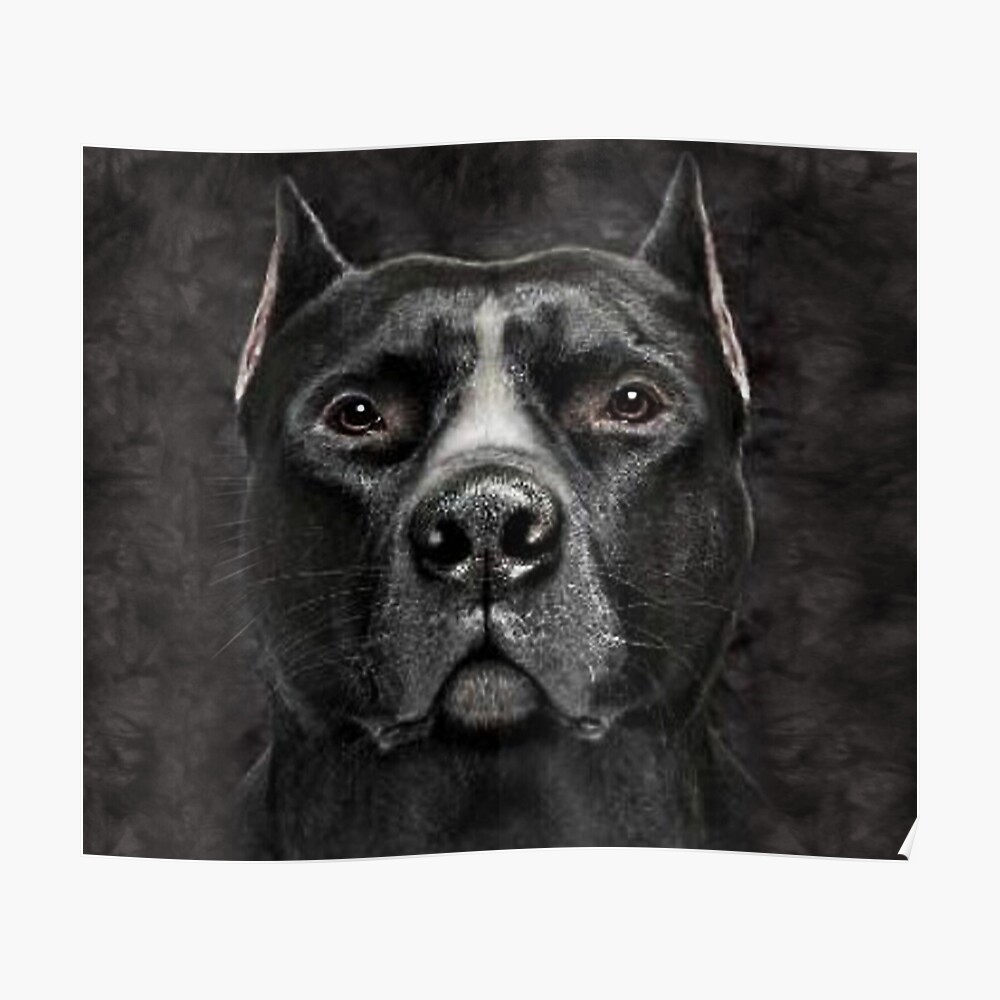 mascarilla regalo 3d lindo de la cara de pitbull para hombre y mujer lover pitbull dog de odola redbubble
