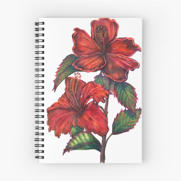Aperçu de l'œuvre Fleurs d'hibiscus rouges créée et vendue par BlueCatPress.