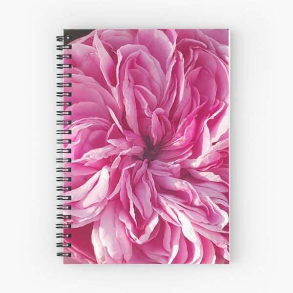 Item preview, Pink Vintage Cabbage Rose Flower designed and sold by Sarah  Rajkotwala.