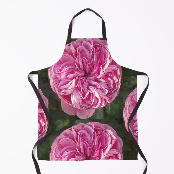 Item preview, Pink Vintage Cabbage Rose Flower designed and sold by Sarah Rajkotwala.