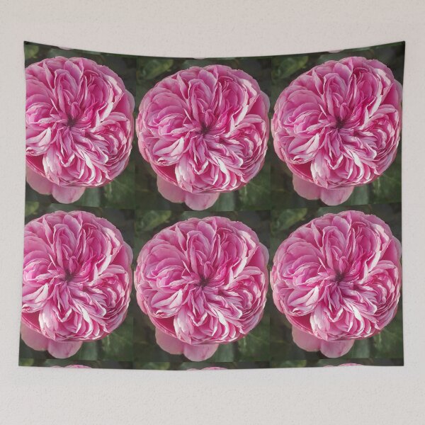 Item preview, Pink Vintage Cabbage Rose Flower designed and sold by Sarah  Rajkotwala.
