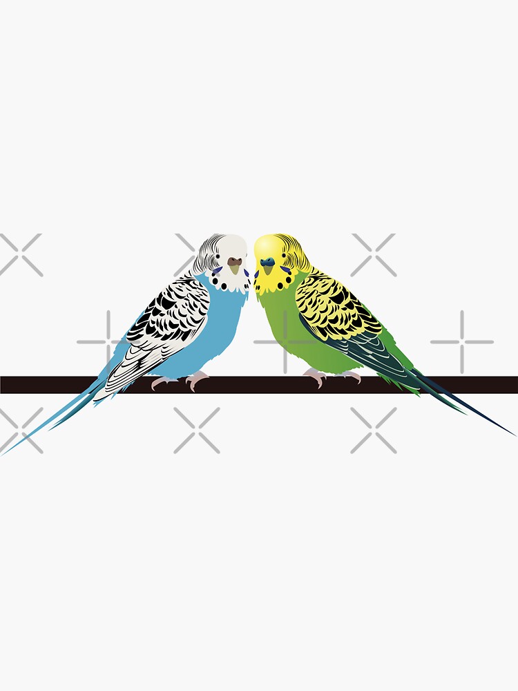 Budgies Sticker For Sale By Kcpetportraits Redbubble